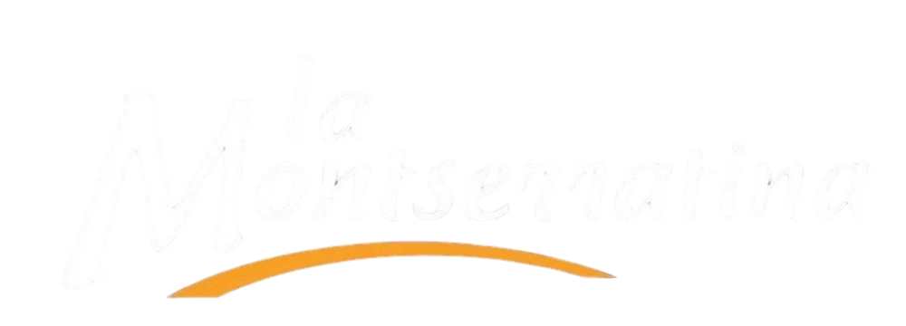 526068109_18512822662009829_5072237725965239240_n-removebg-preview